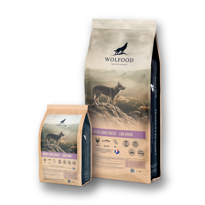 Produit Junior large breed